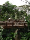 One view in the aviary.
