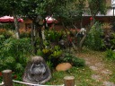 How many statues can you spot? (in the Hong Kong Zoological and Botanical 
Gardens)  I know there's at least six.

