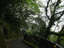 A typical scene along the peak circle loop.  It's a pretty walk.
