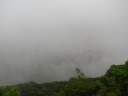 Some mid-level apartment buildings visible through the fog.
