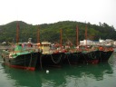 Boats anchored in Tai O's harbor.
