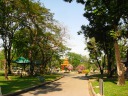 A relatively typical scene in the park, though perhaps more artistically 
composed than most.
