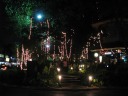 One end of the market was mostly beer gardens (and restaurants that looked
like beer gardens).  This part is nicely decorated with lights strung 
between trees.
