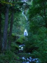 Wahkeena Falls.  If you look closely, you can see the bridge in the 
middle of the photograph close to the falls.  We decided we didn't have 
time to hike up there, so I took this picture of the falls from near the 
parking area.
