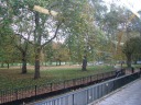 A closer view of this side of Hyde Park.   Taken on November 5, 
2010.
