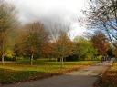 A sample of the Wilderness Gardens, with lovely fall colors.
