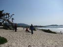 The beach and gnarled tree in the other direction.

