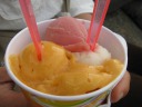 Apricot, rhubarb, and lime sorbets, all great.
