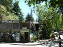 Part of a Big Sur Village.  Besides a few restaurants and lodges, there 
are some cute, artsy tourist shops.  Di Yin noticed that here it appears 
the building was designed around the tree in foreground right.
