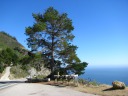 A line of funky mailboxes along highway one.  Yes, some people live in 
Big Sur.  (See the road branching to the left.)
