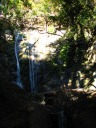 The reason we stopped by Pfeiffer Big Sur State Park was to see Pfeiffer 
Falls.  It's not impressive, but this picture makes it look even worse.  
The lighting (too much contrast) made it difficult to take a good 
picture.
