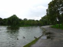 A panoramic video of Constitution Garden.  It's lush.
