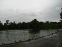 The lake in Constitution Gardens, on the west of side of the Mall.  It 
has many ducks.
