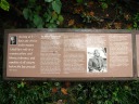 Information on Einstein's life and philosophy.
