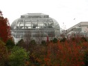 A view of the greenhouse part of Conservatory above colored National 
Garden foliage.
