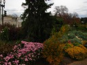 A sample shot of Bartholdi Garden to show how alive and colorful parts 
are, even in November.  My parents liked the Peruvian lilies (the 
distant red flowers in center-right).   Also, a ton of bees are flying 
around the (what I think are) black-eyed susans.  (I didn't read the 
label.)

