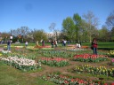 The Floral Library on the south side of the Mall.  It's basically a 
tulip garden.  Colorful.
