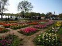 Looking the other direction at the Floral Library.
