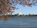 Requisite cross-tidal-basin shot of the Jefferson Memorial.
