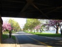 Heading long the Potomac into East Potomac Park.
