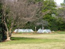 Michelle Obama's White House Garden.

