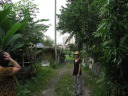 A glimpse of a sleepy neighborhood, Kampong Lorong Buangkok, one of the 
last remaining examples of rural Singapore.
