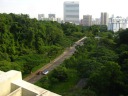 Looking down at the major road that passes underneath the bridge.  This 
is what makes me say Singapore is very green.
