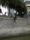 A mischievous sculpture sculpture.  (Incidentally, I thought I 
previously photographed it on an earlier trip but I cannot find it now.)
