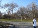Trinity-Bellwoods Park.  It's regularly treed.
