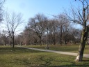 More of the park.
