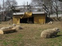 The sheep enclosure.  Don't miss the overseer.
