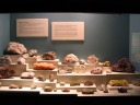 a large rock display case, seemingly like the countless others at the museum.
