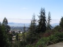 view from near the studio I looked at
